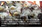 人気 新鮮 海鮮 特産品 贈り物 ギフト   魚介 ごはんのお供 朝食 昼食 夕