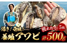 国産養殖アワビ 活き！壱岐！アワビ 計500g（約100g×5枚）《壱岐市》【住吉水産】アワビ 鮑 養殖 貝 海産物 魚介 魚貝 産地直送 お刺身 冷蔵発送 [JDQ007]