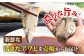 鮑 あわび アワビ 魚介 貝 海の幸 海鮮 手土産 お祝い プレゼント  国産