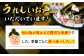 刺身盛り 刺身セット さしみ 船盛 海鮮 海鮮丼 魚介 海の幸 寿司 お寿司 贅