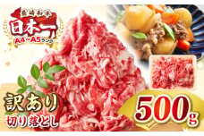 【訳あり】【A4~A5ランク】長崎和牛 切り落とし 500g《壱岐市》【株式会社MEAT PLUS】 肉 牛肉 黒毛和牛 焼き肉 ご褒美 冷凍配送 訳あり A5 黒毛和牛 ギフト [JGH001]