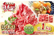 【訳あり】【A4~A5ランク】長崎和牛 切り落とし 1kg(500g×2パック）《壱岐市》【株式会社MEAT PLUS】 肉 牛肉 黒毛和牛 焼き肉 ご褒美 冷凍配送 訳あり A5 黒毛和牛 ギフト [JGH002]