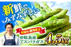 【アスパラガス専門農家が作る！】壱岐産アスパラガス4.5kg≪壱岐市≫【きたじま農園】 国産 冷蔵配送 産地直送 朝採れ 新鮮 [JGI001]