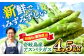 野菜 アスパラ 新鮮 美味しい おいしい 食べ応え