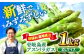 野菜 アスパラ Lサイズ 新鮮 美味しい おいしい 食べ応え