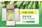 野菜 アスパラ Lサイズ 新鮮 美味しい おいしい 食べ応え
