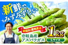 【アスパラガス専門農家が作る！】壱岐産アスパラガス1kg(Lサイズ)《壱岐市》【きたじま農園】国産 冷蔵配送 産地直送 朝採れ 新鮮 [JGI003]