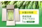 野菜 アスパラ Lサイズ 新鮮 美味しい おいしい 食べ応え