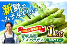 【アスパラガス専門農家が作る！】壱岐産アスパラガス1kg(MSサイズ)≪壱岐市≫【きたじま農園】国産 冷蔵配送 産地直送 朝採れ 新鮮 [JGI004]