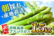【先行予約】【アスパラガス専門農家が作る！】壱岐産 訳アリ アスパラガス1.5kg《壱岐市》【きたじま農園】国産 冷蔵配送 産地直送 朝採れ 新鮮 [JGI005]