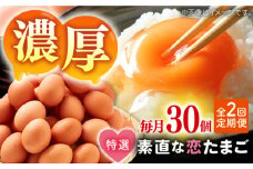 【全2回定期便】特選 素直な恋たまご 30個 《壱岐市》【しまのたまご屋さん】  卵 たまご 鶏卵 玉子 ギフト 国産 卵かけご飯 たまごかけご飯 のし 定期便 [JAP018]