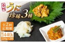 【全2回定期便】壱岐うに珍味３本セット《壱岐市》【下久商店株式会社】雲丹 ウニ イカ 海鮮 塩辛 [JBZ070]