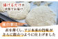人気 海鮮 魚介 フライ 鯵フライ アジフライ 簡単 ごはんのお供 朝食 昼食 