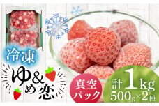 冷凍いちご 1kg 『ゆめ恋フローズンセット』《壱岐市》【蒼花】 産地直送 冷凍配送 いちご 苺 フルーツ フローズン 朝食 ゆめのか 恋みのり [JEO005]