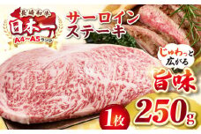 【A4〜A5ランク】長崎和牛 サーロインステーキ 250g（250g×1枚）《壱岐市》【株式会社MEAT PLUS】 肉 牛肉 黒毛和牛 サーロイン ステーキ ご褒美 ギフト 贈答用 ご褒美 冷凍配送 A4 A5 [JGH023]