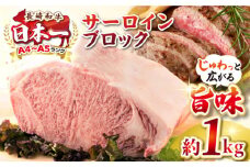 【A4〜A5ランク】長崎和牛 サーロインブロック　約1kg《壱岐市》【株式会社MEAT PLUS】 肉 牛肉 黒毛和牛 サーロイン ステーキ ブロック ご褒美 ギフト 贈答用 ご褒美 冷凍配送 A4 A5 [JGH026]