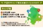 おすすめ オススメ ギフト 人気 キャンプ バーベキュー アウトドア 体験 旅行