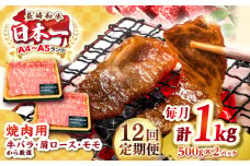 【全12回定期便】【A4～A5ランク】長崎和牛 焼肉用 1kg（500g×2パック）《壱岐市》【株式会社MEAT PLUS】肉 牛肉 黒毛和牛 焼き肉 焼肉 焼肉用 ギフト 贈答用 ご褒美 冷凍配送 A4 A5 [JGH114]