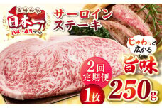 【全2回定期便】【A4〜A5ランク】長崎和牛 サーロインステーキ 250g（250g×1枚）《壱岐市》【株式会社MEAT PLUS】 肉 牛肉 黒毛和牛 サーロイン ステーキ ご褒美 ギフト 贈答用 ご褒美 冷凍配送 A4 A5 [JGH123]
