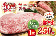 【全6回定期便】【A4〜A5ランク】長崎和牛 サーロインステーキ 250g（250g×1枚）《壱岐市》【株式会社MEAT PLUS】 肉 牛肉 黒毛和牛 サーロイン ステーキ ご褒美 ギフト 贈答用 ご褒美 冷凍配送 A4 A5 [JGH125]