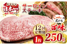 【全12回定期便】【A4〜A5ランク】長崎和牛 サーロインステーキ 250g（250g×1枚）《壱岐市》【株式会社MEAT PLUS】 肉 牛肉 黒毛和牛 サーロイン ステーキ ご褒美 ギフト 贈答用 ご褒美 冷凍配送 A4 A5 [JGH126]
