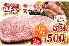 【全3回定期便】【A4〜A5ランク】長崎和牛 サーロインステーキ 500g（250g×2枚）《壱岐市》【株式会社MEAT PLUS】 肉 牛肉 黒毛和牛 サーロイン ステーキ ご褒美 ギフト 贈答用 ご褒美 冷凍配送 A4 A5 [JGH128]
