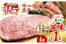 【全12回定期便】【A4〜A5ランク】長崎和牛 サーロインステーキ 1kg（250g×4枚）《壱岐市》【株式会社MEAT PLUS】 肉 牛肉 黒毛和牛 サーロイン ステーキ ご褒美 ギフト 贈答用 ご褒美 冷凍配送 A4 A5 [JGH134]