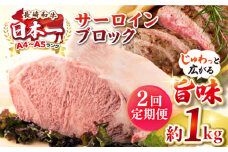 【全2回定期便】【A4〜A5ランク】長崎和牛 サーロインブロック　約1kg《壱岐市》【株式会社MEAT PLUS】 肉 牛肉 黒毛和牛 サーロイン ステーキ ブロック ご褒美 ギフト 贈答用 ご褒美 冷凍配送 A4 A5 [JGH135]