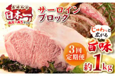 【全3回定期便】【A4〜A5ランク】長崎和牛 サーロインブロック　約1kg《壱岐市》【株式会社MEAT PLUS】 肉 牛肉 黒毛和牛 サーロイン ステーキ ブロック ご褒美 ギフト 贈答用 ご褒美 冷凍配送 A4 A5 [JGH136]