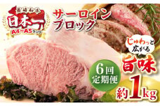 【全6回定期便】【A4〜A5ランク】長崎和牛 サーロインブロック　約1kg《壱岐市》【株式会社MEAT PLUS】 肉 牛肉 黒毛和牛 サーロイン ステーキ ブロック ご褒美 ギフト 贈答用 ご褒美 冷凍配送 A4 A5 [JGH137]