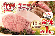 【全12回定期便】【A4〜A5ランク】長崎和牛 サーロインブロック　約1kg《壱岐市》【株式会社MEAT PLUS】 肉 牛肉 黒毛和牛 サーロイン ステーキ ブロック ご褒美 ギフト 贈答用 ご褒美 冷凍配送 A4 A5 [JGH138]