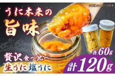 生ウニ ＆ 一汐うに 各60g 食べ比べセット《壱岐市》【馬渡水産】 冷凍配送 ウニ 新鮮 食べ比べ 小分け 贈答 プレゼント 海鮮 魚介 希少 [JAQ024]