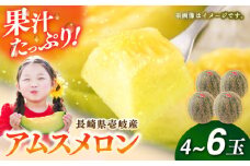 【2026年6月中旬以降順次発送】【数量限定】 壱岐産 アムスメロン 4～6玉 《壱岐市》【壱岐市農業協同組合】[JBO017] メロン 青肉 フルーツ 果物 先行予約 季節限定 21000 21000円[JBO017]