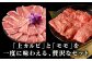 ステーキ 人気 和牛  長崎和牛 希少 柔らかい やわらかい 贈り物 ギフト  