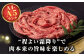 人気 和牛  長崎和牛 希少 柔らかい やわらかい 贈り物 ギフト  肉 お祝い