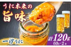 一汐うに 60ｇ×2本 ≪壱岐市≫【馬渡水産】 冷凍配送 雲丹 塩うに ご飯に合う 珍味 希少 お取り寄せ ウニ [JAQ014]