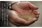 おすすめ オススメ こだわり ギフト 人気 特産品 贈り物 ギフト  