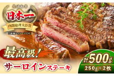 長崎和牛 サーロイン ステーキ 250g×2 《壱岐市》【KRAZY MEAT】 A5 A4 冷凍 和牛 肉 牛肉 BBQ 詰め合わせ 贈り物 [JER097]