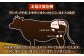 ステーキ 人気 和牛  長崎和牛 希少 柔らかい やわらかい 贈り物 ギフト  