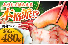 お刺身6パック（1パック60g～80g） 《壱岐市》【魚や 春一番 壱岐商業開発株式会社】 [JGR001]