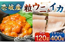 　【冷凍】壱岐産剣先イカフィレ(80g)×5枚　壱岐産粒うに瓶60g×1本　《壱岐市》　【一支國屋】 [JCC013]
