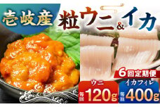 【全6回定期便】【冷凍】壱岐産剣先イカフィレ(80g)×5枚　壱岐産粒うに瓶60g×1本　《壱岐市》　【一支國屋】 [JCC018]
