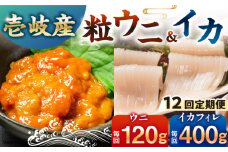 【全12回定期便】【冷凍】壱岐産剣先イカフィレ(80g)×5枚　壱岐産粒うに瓶60g×1本　《壱岐市》　【一支國屋】 [JCC019]