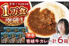 壱岐牛カレー中辛づくし《壱岐市》【アットマーク】常温配送 カレー ご当地カレー レトルト 簡単調理 [JDW041]