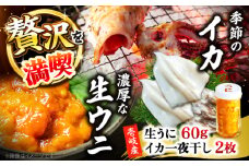 季節のイカ一夜干し2枚＋生ウニ60g 《壱岐市》【合同会社塚元】 [JDR025]