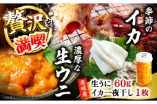 季節のイカ一夜干し1枚＋生ウニ60g 《壱岐市》【合同会社塚元】 [JDR026]