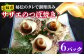 おすすめ オススメ こだわり ギフト 人気 特産品 贈り物 ギフト  