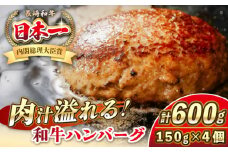 長崎和牛 ハンバーグ 150g×4 《壱岐市》【KRAZY MEAT】 A5 A4 冷凍 和牛 肉 牛肉 BBQ ハンバーグ 贈答品 [JER164]