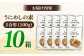 人気   うに ウニ 雲丹  新鮮 海鮮 特産品 贈り物 ギフト   魚介