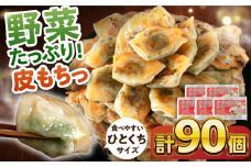 ひとくち餃子18個入×5パック《壱岐市》【壱岐市農業協同組合】 [JBO150]